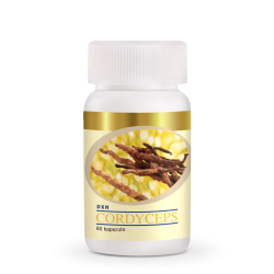 DXN Cordyceps 60 Capsules - Natural Stamina & Energy | My Ganoderma