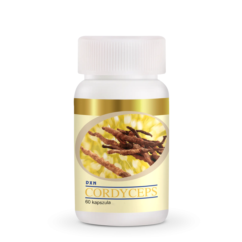 DXN Cordyceps 60 Capsules - Natural Stamina & Energy | My Ganoderma