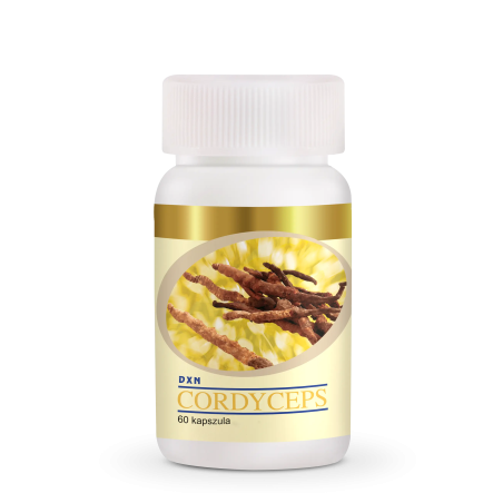 DXN Cordyceps 60 Capsules - Natural Stamina & Energy | My Ganoderma