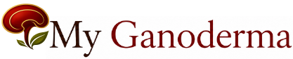 My Ganoderma