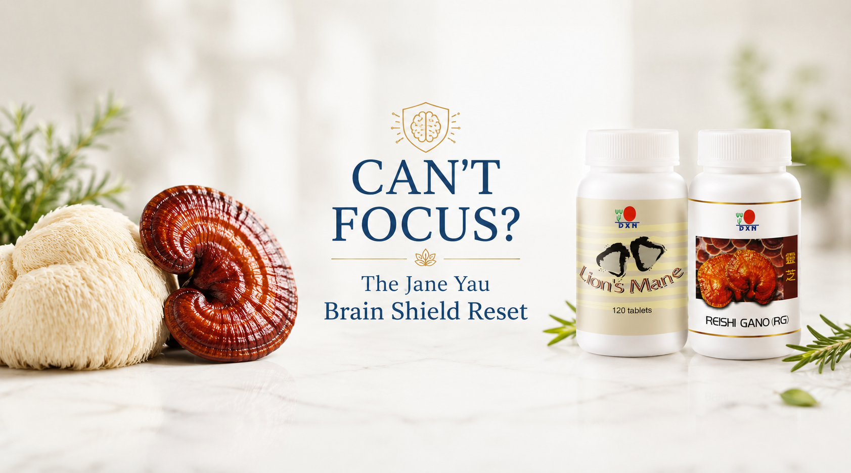 Always Forgetting Things? The Root Cause of Brain Fog & How to Fix It